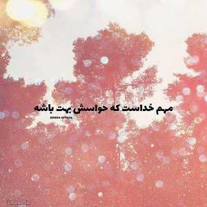 Reyhaneh Sadraee