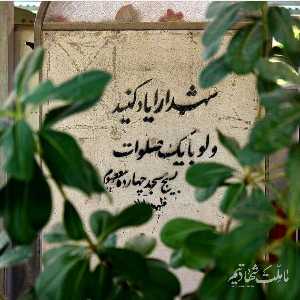فاطمه شیخ