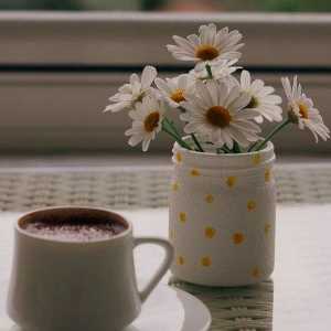 سیده تبسم باقی زاده